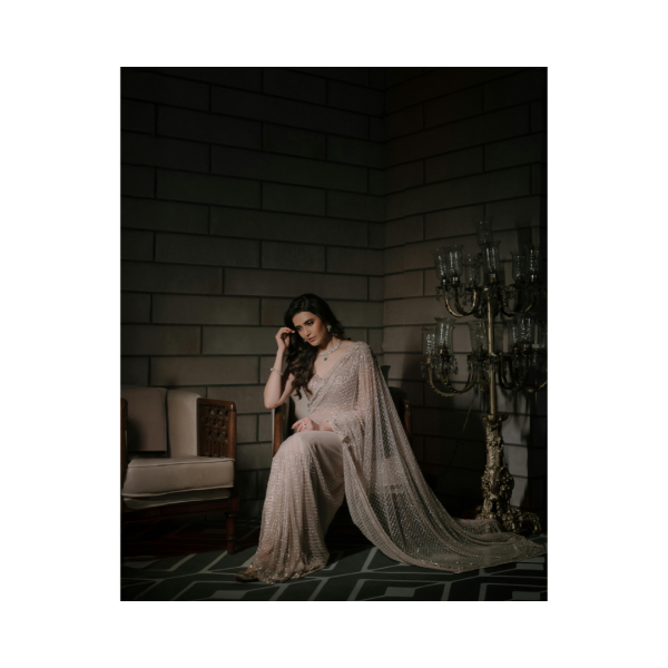 Net saree